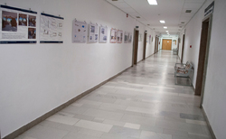 bibi6_250x154_crop_478b24840a