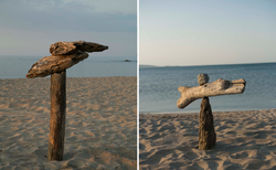 bio2_250x154_crop_478b24840a