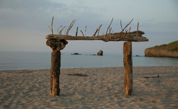 bio4_250x154_crop_478b24840a