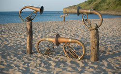 bio5_250x154_crop_478b24840a