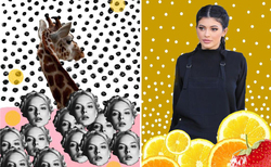 ex3_250x154_crop_478b24840a