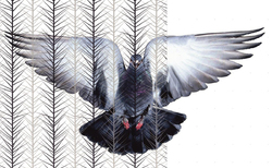 ex4_250x154_crop_478b24840a