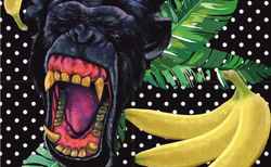 ex5_250x154_crop_478b24840a