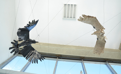 paper10_250x154_crop_478b24840a