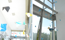 paper1_250x154_crop_478b24840a