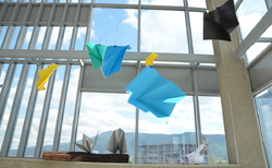 paper2_250x154_crop_478b24840a