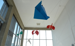 paper5_250x154_crop_478b24840a