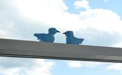 paper8_250x154_crop_478b24840a