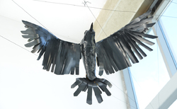 paper9_250x154_crop_478b24840a