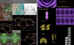 pril-2-1_250x154_crop_478b24840a