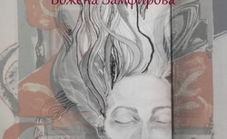 14339419-1201629089880605-191956517-o_250x154_crop_478b24840a