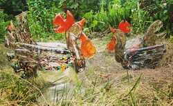 s7_250x154_crop_478b24840a