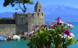 seminar1_250x154_crop_478b24840a