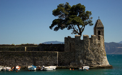 seminar3_250x154_crop_478b24840a