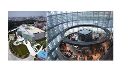 yaneva-4_250x154_crop_478b24840a