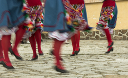 cvetelina_250x154_crop_478b24840a