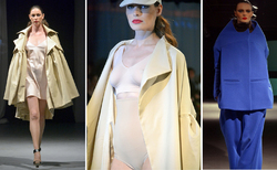 f2_250x154_crop_478b24840a