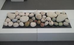 f5_250x154_crop_478b24840a