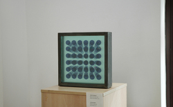 11_250x154_crop_478b24840a