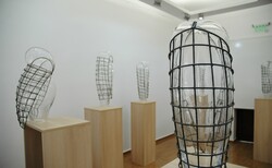 8_250x154_crop_478b24840a