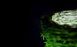 remix14_250x154_crop_478b24840a