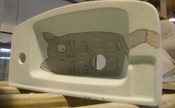 monika07_250x154_crop_478b24840a