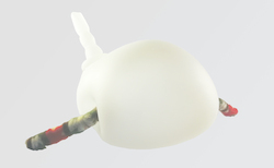 gaida-1_250x154_crop_478b24840a