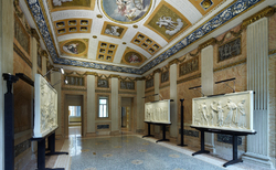 5_250x154_crop_478b24840a