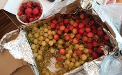 hrana-f83958_250x154_crop_478b24840a