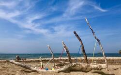 de02_250x154_crop_478b24840a