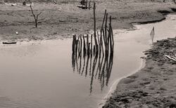 de03_250x154_crop_478b24840a