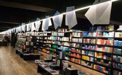 dsc0005-2_250x154_crop_478b24840a