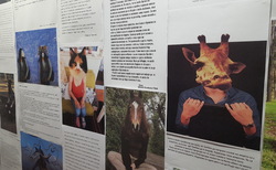 4_250x154_crop_478b24840a