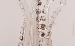 img-7661-12_250x154_crop_478b24840a