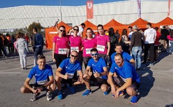 the-team-04_250x154_crop_478b24840a