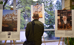 dsc0107_250x154_crop_478b24840a