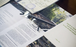 dsc-0899_250x154_crop_478b24840a