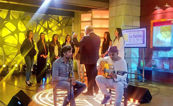 estruna-02_250x154_crop_478b24840a