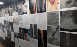 tatoo3_250x154_crop_478b24840a