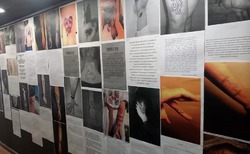 tatoo4_250x154_crop_478b24840a