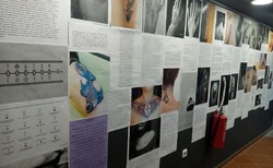 tatoo6_250x154_crop_478b24840a