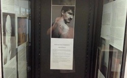 tatoo9_250x154_crop_478b24840a