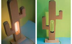 12471399-10206975340375560-874326086137751654-o_250x154_crop_478b24840a