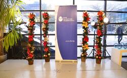 48378948-10156996318820929-1150535671748755456-n_250x154_crop_478b24840a