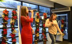 48420571-10156996319530929-7259464512380600320-n_250x154_crop_478b24840a