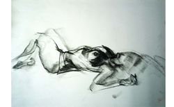 untitled-3_250x154_crop_478b24840a