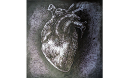 untitled-4_250x154_crop_478b24840a