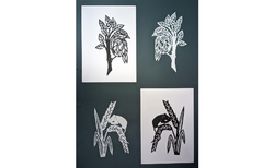 untitled-8_250x154_crop_478b24840a