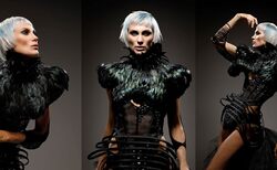 60352445-10212073086017230-7774871514297401344-o_250x154_crop_478b24840a