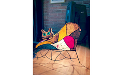 60551398-431518144307449-5196585668502880256-n_250x154_crop_478b24840a